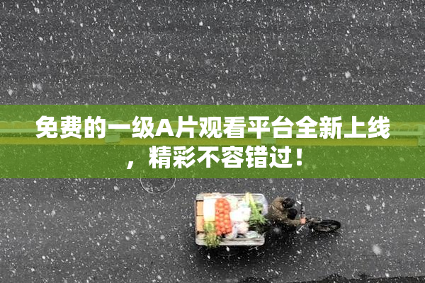 免费的一级A片观看平台全新上线，精彩不容错过！