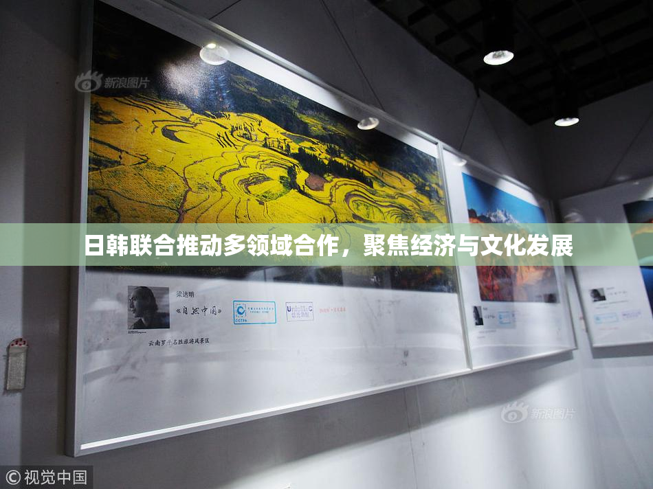 日韩联合推动多领域合作，聚焦经济与文化发展