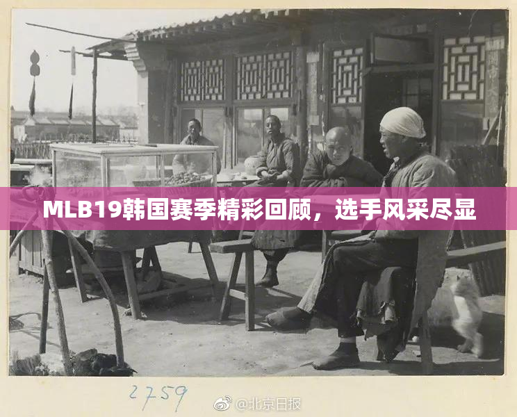 MLB19韩国赛季精彩回顾，选手风采尽显