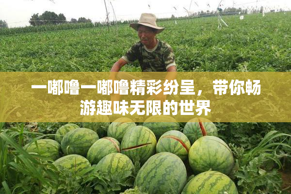 一嘟噜一嘟噜精彩纷呈，带你畅游趣味无限的世界