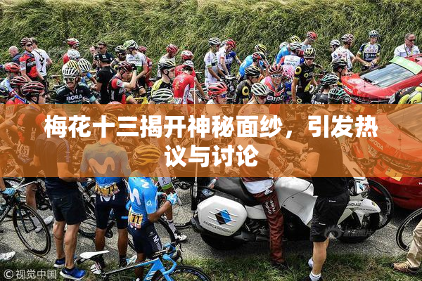 梅花十三揭开神秘面纱，引发热议与讨论