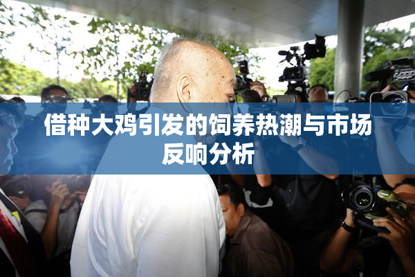 借种大鸡引发的饲养热潮与市场反响分析