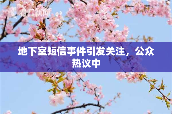地下室短信事件引发关注，公众热议中