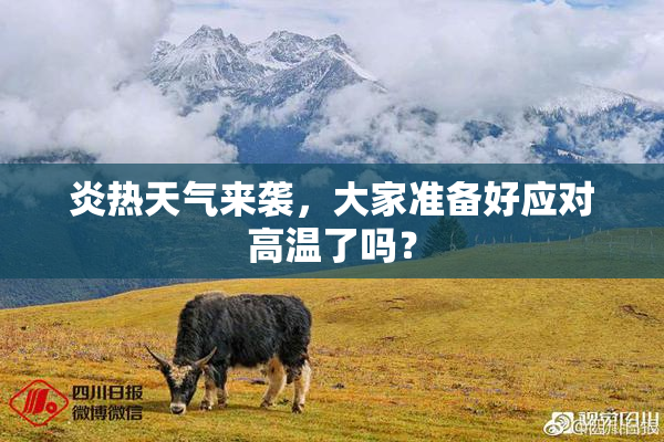 炎热天气来袭，大家准备好应对高温了吗？