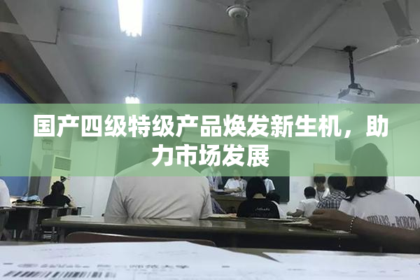 国产四级特级产品焕发新生机，助力市场发展