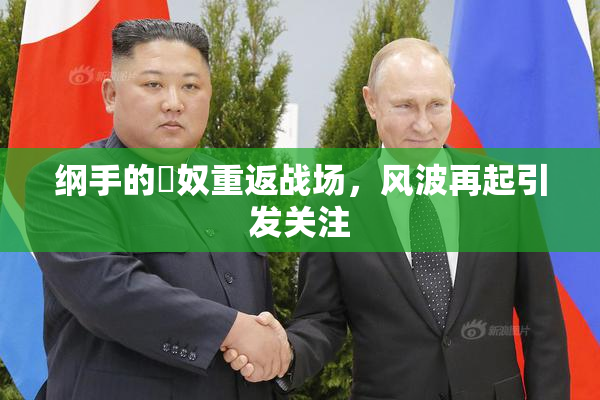 纲手的婬奴重返战场，风波再起引发关注