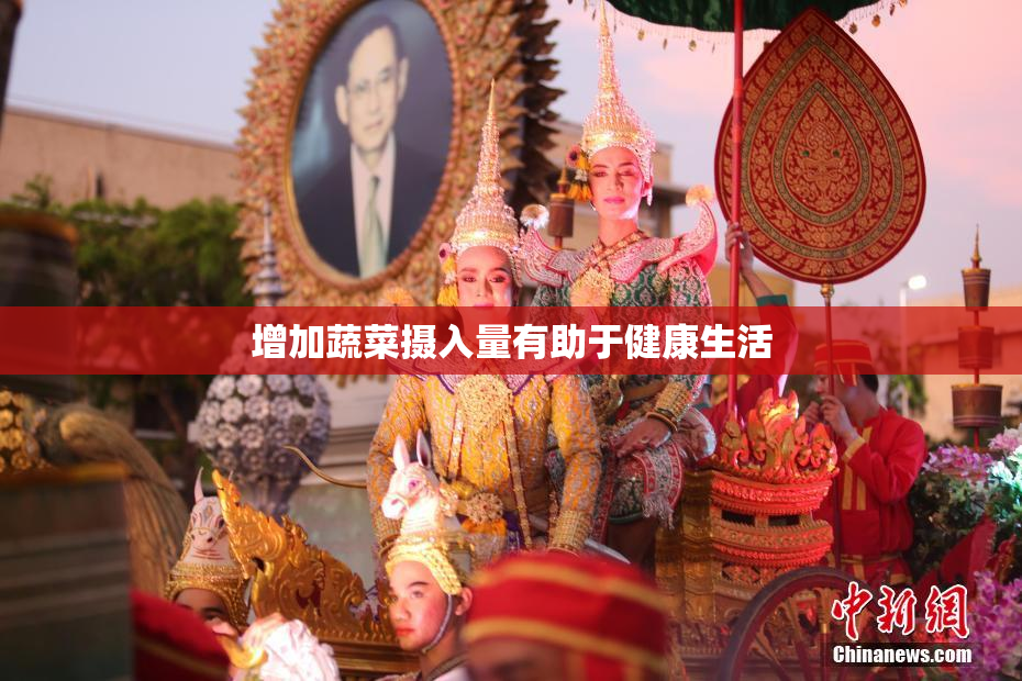 增加蔬菜摄入量有助于健康生活