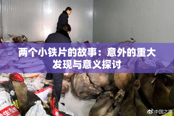两个小铁片的故事：意外的重大发现与意义探讨