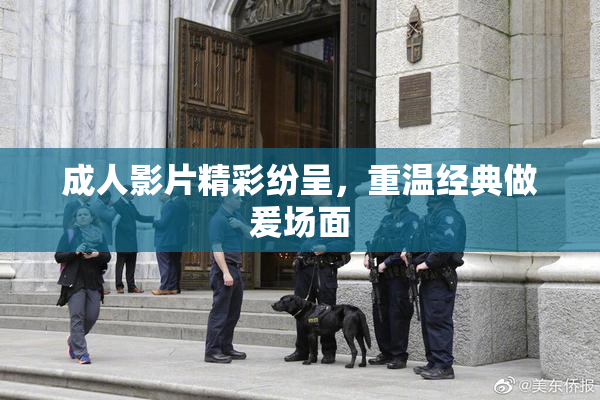 成人影片精彩纷呈，重温经典做爰场面
