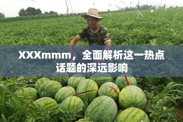 XXXmmm，全面解析这一热点话题的深远影响