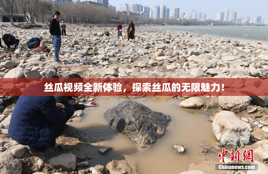 丝瓜视频全新体验，探索丝瓜的无限魅力！