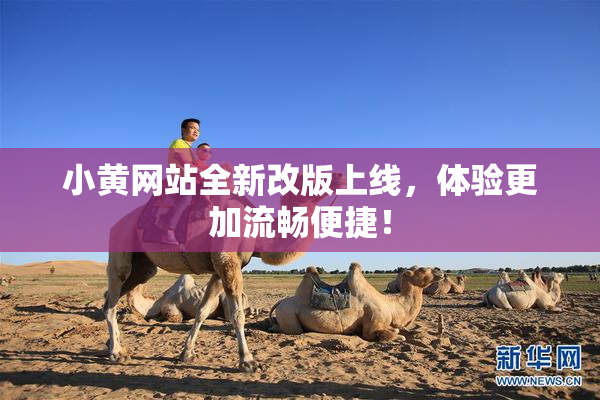 小黄网站全新改版上线，体验更加流畅便捷！