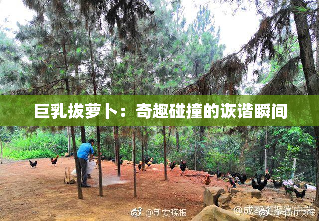 巨乳拔萝卜：奇趣碰撞的诙谐瞬间