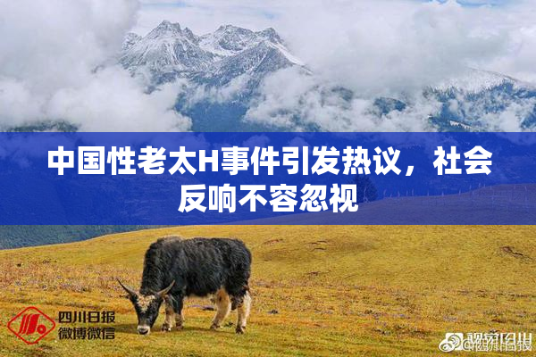 中国性老太H事件引发热议，社会反响不容忽视