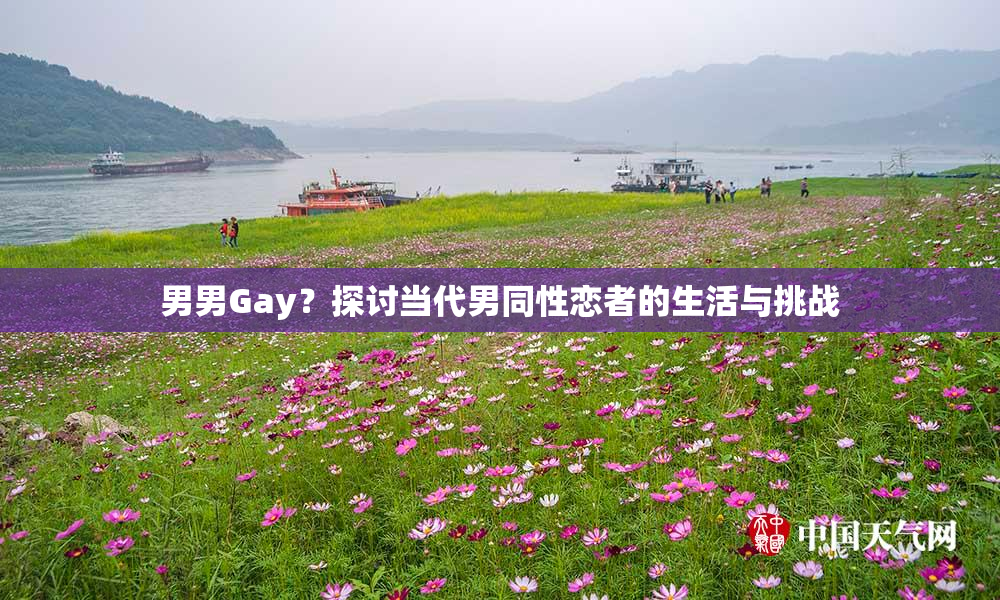 男男Gay？探讨当代男同性恋者的生活与挑战