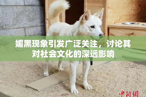 媚黑现象引发广泛关注，讨论其对社会文化的深远影响