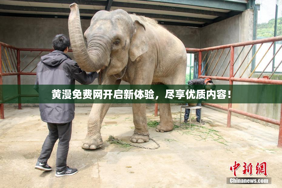 黄漫免费网开启新体验，尽享优质内容！