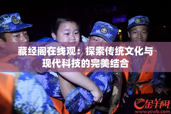 藏经阁在线观：探索传统文化与现代科技的完美结合