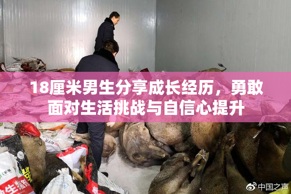 18厘米男生分享成长经历，勇敢面对生活挑战与自信心提升