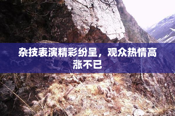 杂技表演精彩纷呈，观众热情高涨不已