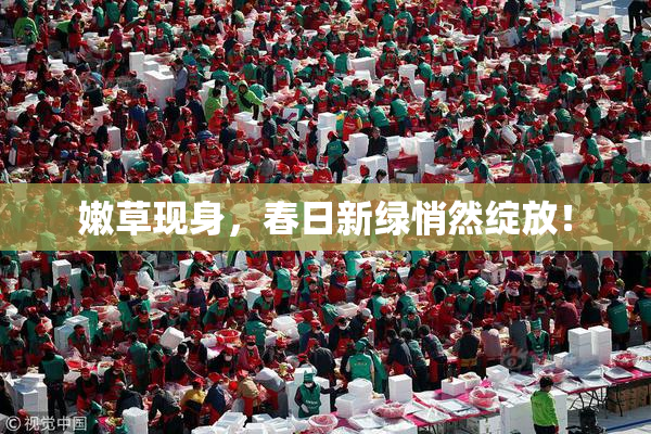 嫩草现身，春日新绿悄然绽放！