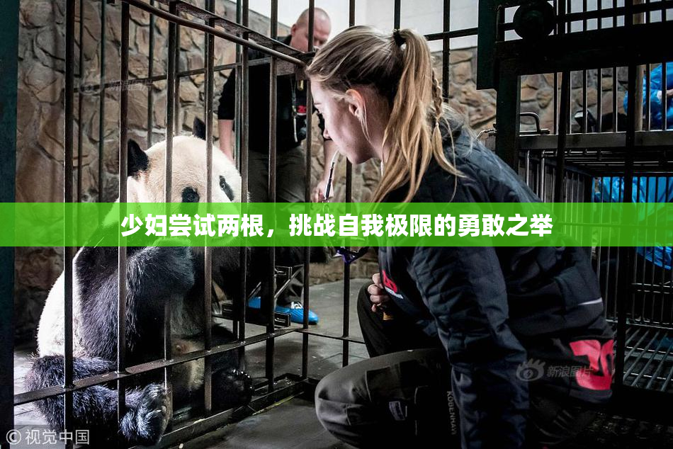 少妇尝试两根，挑战自我极限的勇敢之举