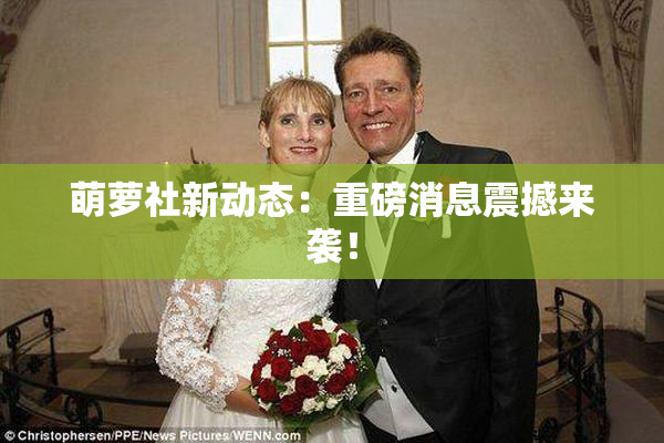 萌萝社新动态：重磅消息震撼来袭！