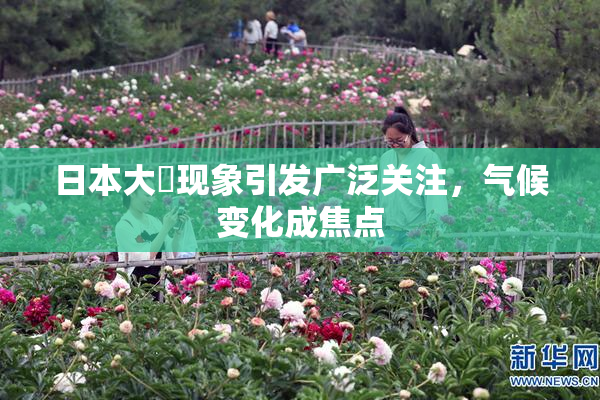 日本大隂现象引发广泛关注，气候变化成焦点