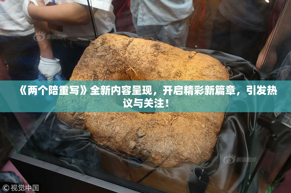 《两个陪重写》全新内容呈现，开启精彩新篇章，引发热议与关注！