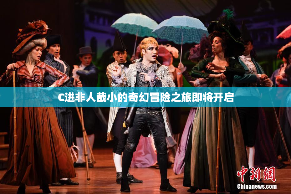 C进非人哉小的奇幻冒险之旅即将开启