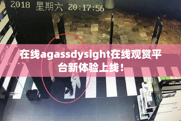 在线agassdysight在线观赏平台新体验上线！