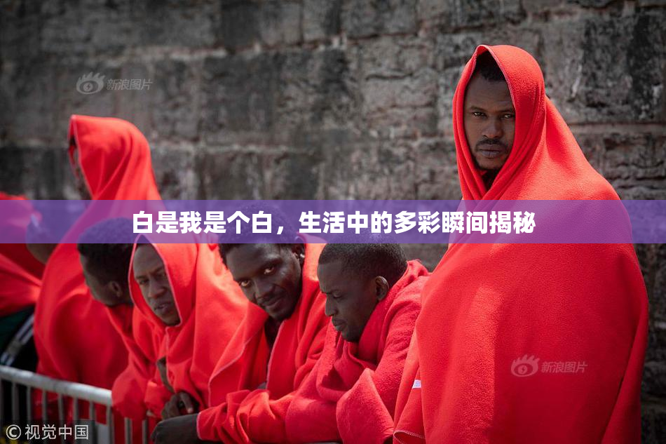 白是我是个白，生活中的多彩瞬间揭秘