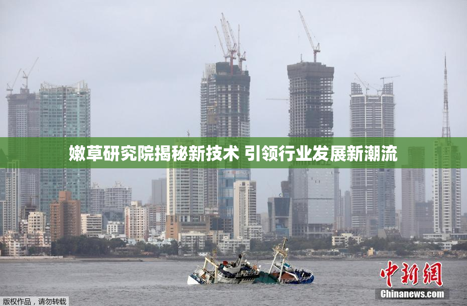 嫩草研究院揭秘新技术 引领行业发展新潮流
