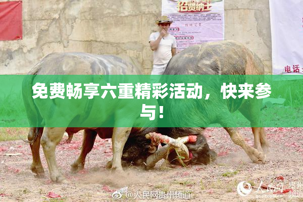 免费畅享六重精彩活动，快来参与！