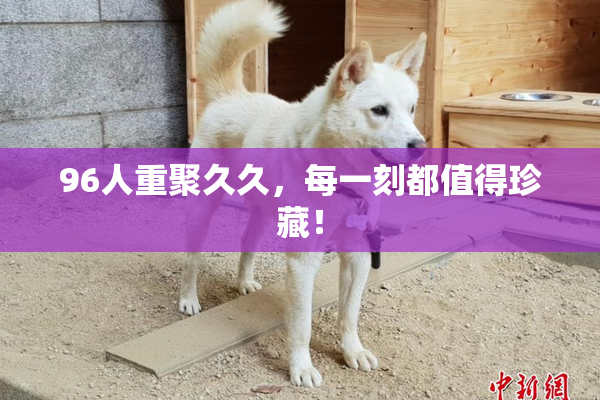 96人重聚久久，每一刻都值得珍藏！