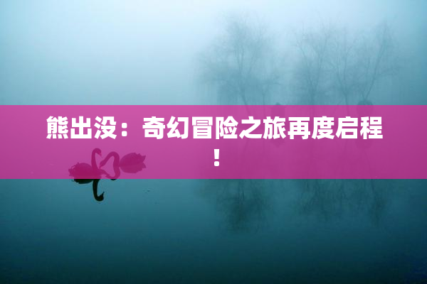 熊出没：奇幻冒险之旅再度启程！
