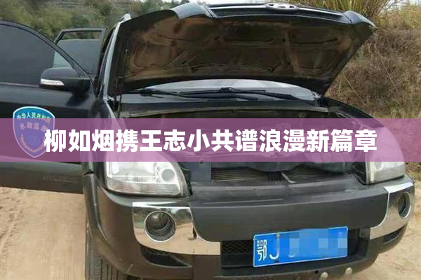 柳如烟携王志小共谱浪漫新篇章