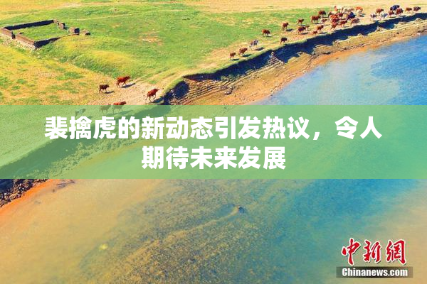 裴擒虎的新动态引发热议，令人期待未来发展