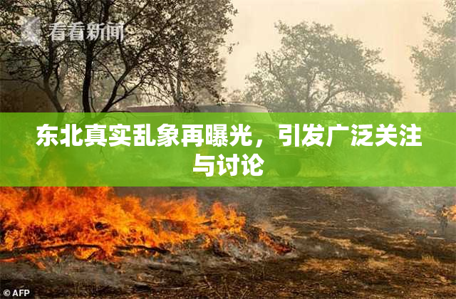 东北真实乱象再曝光，引发广泛关注与讨论