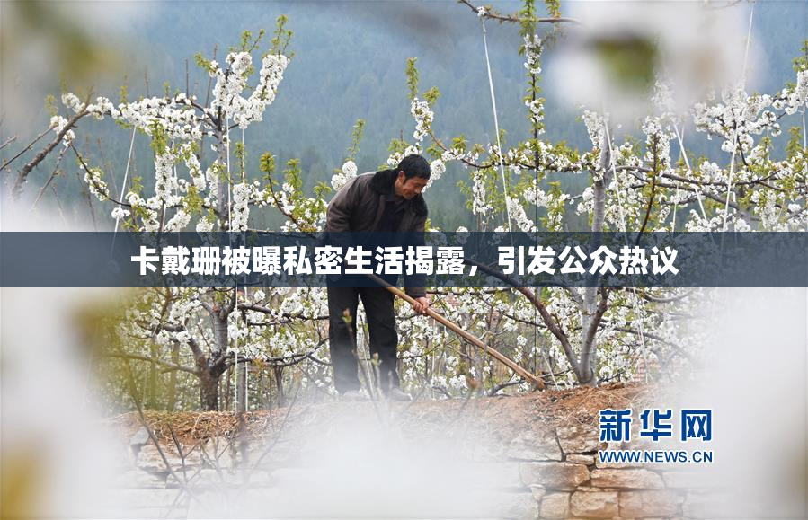 卡戴珊被曝私密生活揭露，引发公众热议