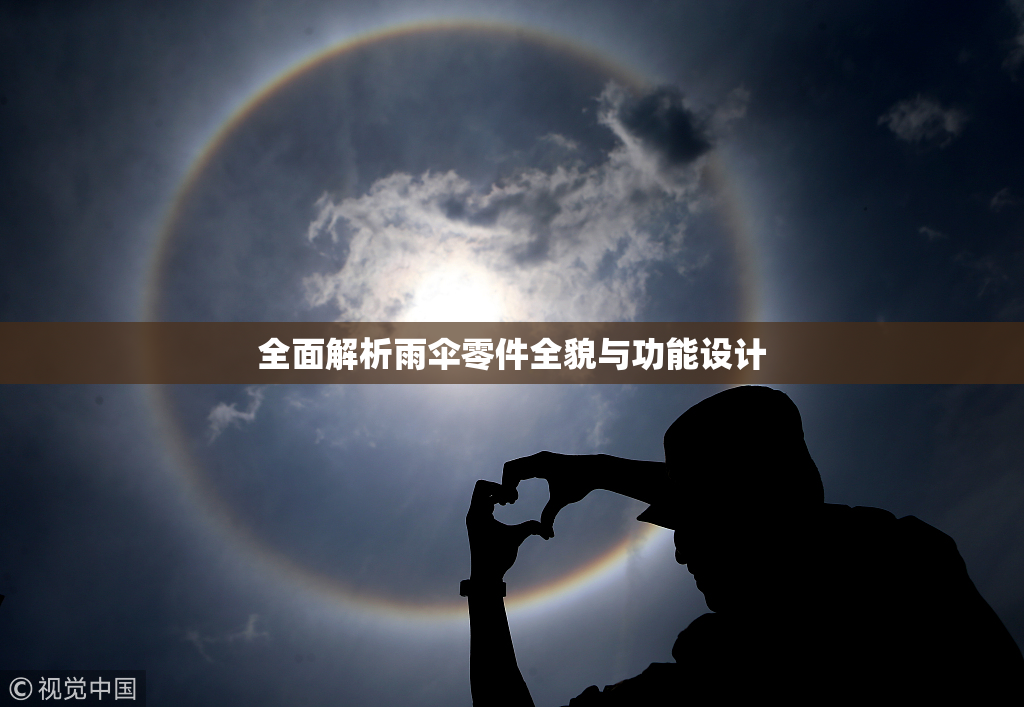 全面解析雨伞零件全貌与功能设计