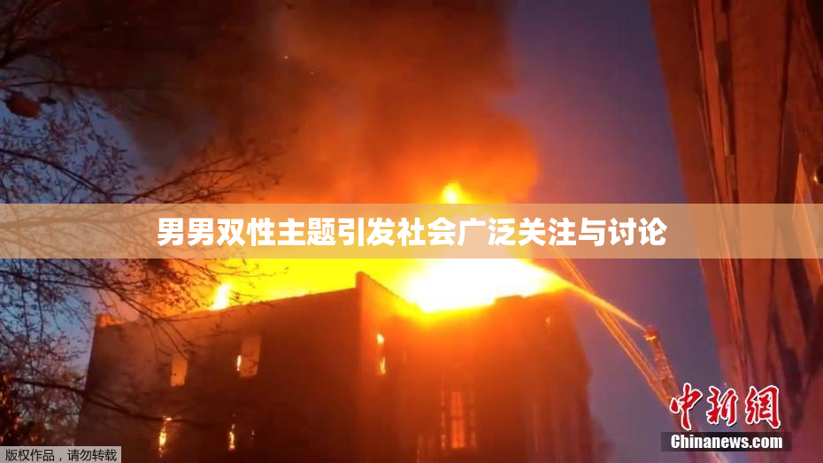 男男双性主题引发社会广泛关注与讨论