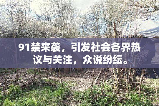 91禁来袭，引发社会各界热议与关注，众说纷纭。