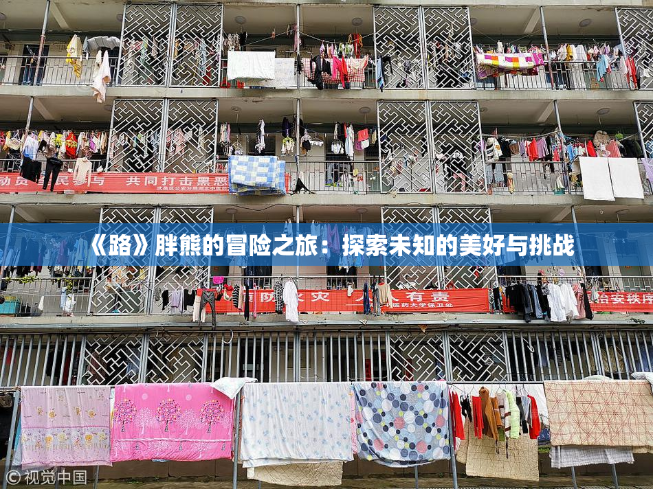 《路》胖熊的冒险之旅：探索未知的美好与挑战