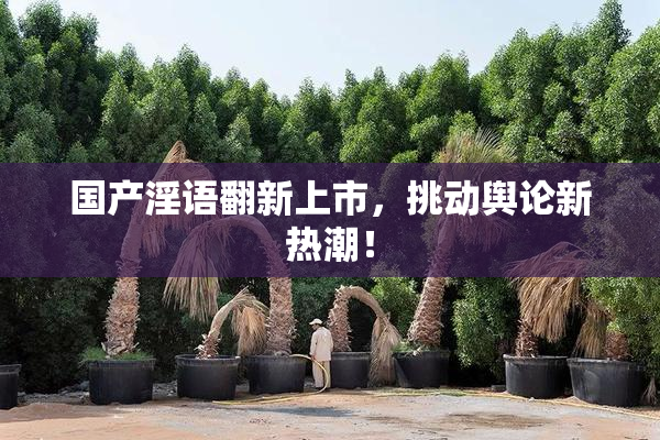 国产淫语翻新上市，挑动舆论新热潮！