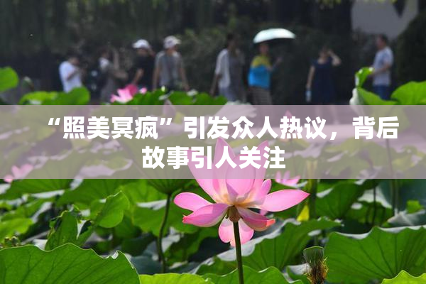 “照美冥疯”引发众人热议，背后故事引人关注