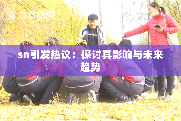 sn引发热议：探讨其影响与未来趋势