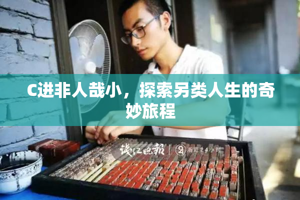 C进非人哉小，探索另类人生的奇妙旅程