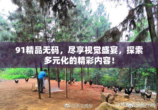 91精品无码，尽享视觉盛宴，探索多元化的精彩内容！
