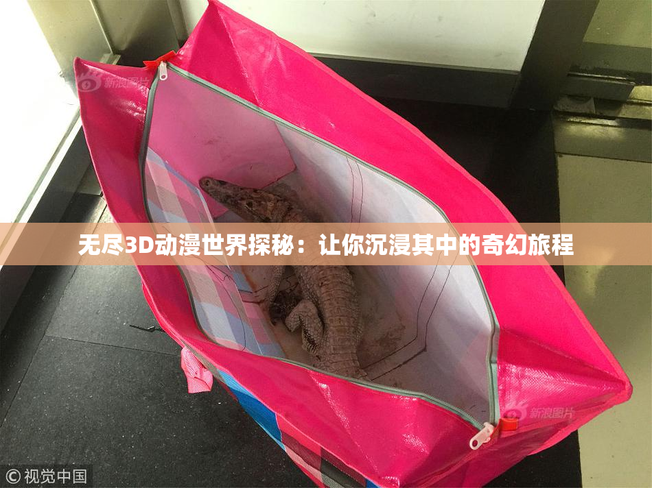 无尽3D动漫世界探秘：让你沉浸其中的奇幻旅程